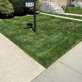 yard care by Allen Enterprise llc reviewed on August 21, 2025