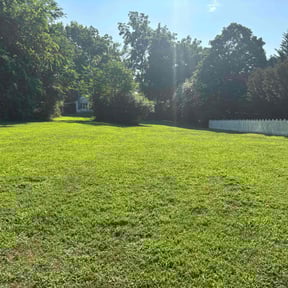 yard work by Lawn Care reviewed on August 17, 2025