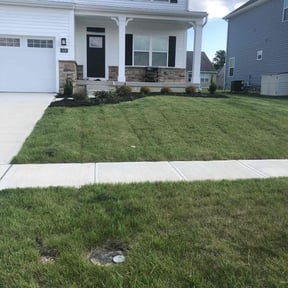 yard maintenance by Mr. Mower reviewed on August 17, 2025