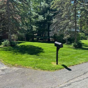 yard maintenance by Allens lawncare LLC  reviewed on November 23, 2025