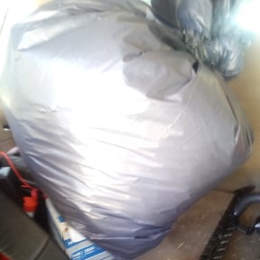 Bush Trimming by A and L lawn Care Professionals reviewed on August 19, 2025