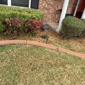 Leaf Removal by Yellowjacket Lawn Care reviewed on September 19, 2025
