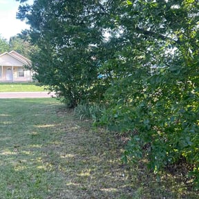Bush Trimming by Discount Mowing reviewed on June 28, 2026