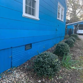 Bush Trimming by RGA Landscaping LLC reviewed on August 21, 2025