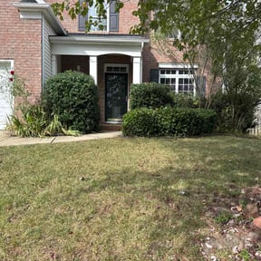 Bush Trimming by Prescient Green Concepts reviewed on October 19, 2025