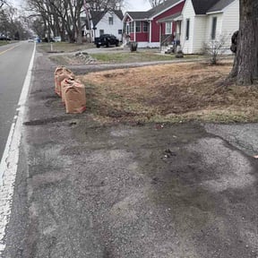 Leaf Removal by Junk360 reviewed on March 24, 2026