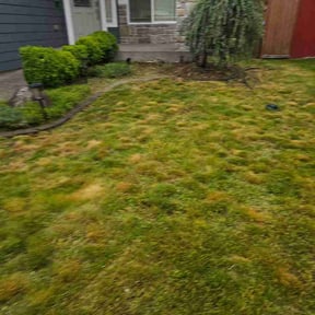 Bush Trimming by ShiftChange LLC Lawn Service reviewed on May 27, 2026