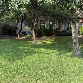 residential landscaping by TJD Mowing reviewed on August 19, 2025