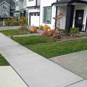 landscaping by BLUE MAX HOME SERVICES reviewed on August 18, 2025