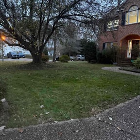 Leaf Removal by Crawford Outdoor Services LLC reviewed on December 18, 2025