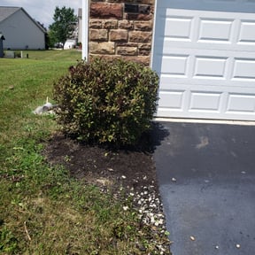 Bush Trimming by Meridian Management Group LLC reviewed on August 20, 2025
