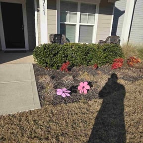 Bush Trimming by First Choice Property Solutions reviewed on December 13, 2025