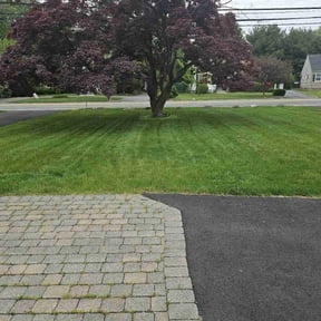 lawn care services by The Culture Biz LLC reviewed on November 2, 2024