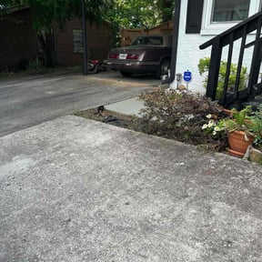 Bush Trimming by Jennifers Clean Outdoors reviewed on August 15, 2025