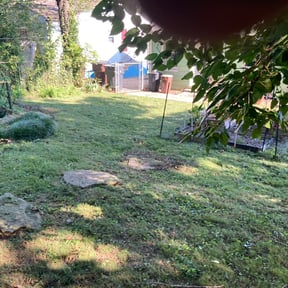 Bush Trimming by BBA BIG BROTHERS IN ACTION LLC reviewed on August 16, 2025