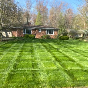 Long Grass Cleanup by A&R landscaping reviewed on August 19, 2025