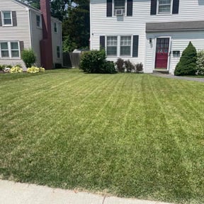 yard care by Ricks Lawn Care and Maintenance reviewed on August 17, 2025