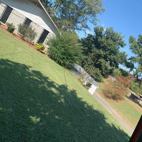 Bush Trimming by Paul Landis Dba Pro Turf Landscape and Lawn care reviewed on November 18, 2025