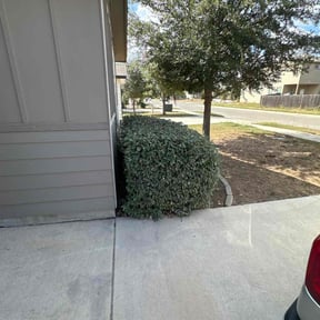 Bush Trimming by Beyond Mowing reviewed on November 18, 2025