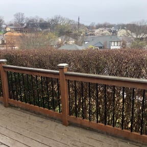 Bush Trimming by Scarlet and gray Lawn Care Management LLC reviewed on August 20, 2025