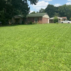 yard maintenance by Marvin Wright reviewed on August 20, 2025