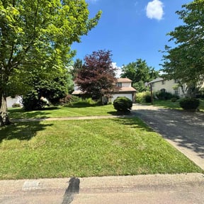 yard service by Green lawn's reviewed on August 15, 2025