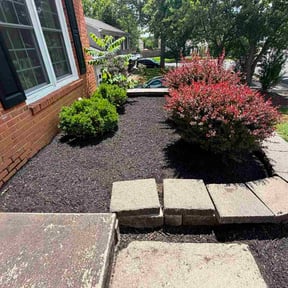 Mulching by Little Landscaping reviewed on June 12, 2026