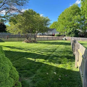 yard maintenance by Dodds mowing reviewed on November 27, 2025