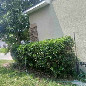 Bush Trimming by LT Landscaping reviewed on October 18, 2025