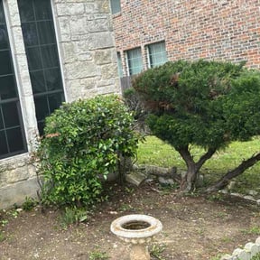 Bush Trimming by Slick Lawns reviewed on August 20, 2025
