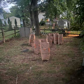 Leaf Removal by Conner Meadows reviewed on May 31, 2026