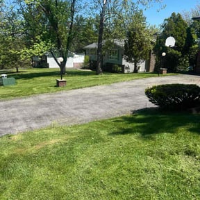 turf maintenance by BLC3 LLC / Turf Guys reviewed on August 19, 2025