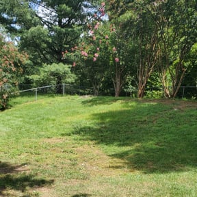 Bush Trimming by 618'S Snappin Out Lawn Care reviewed on August 20, 2025