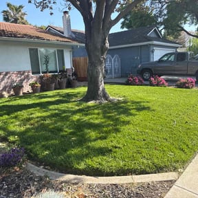 yard care by Miller Construction Service reviewed on August 18, 2025