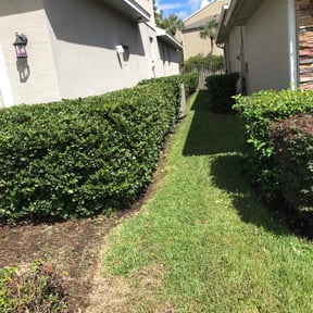 Bush Trimming by Just Cuts Lawn Care reviewed on August 17, 2025