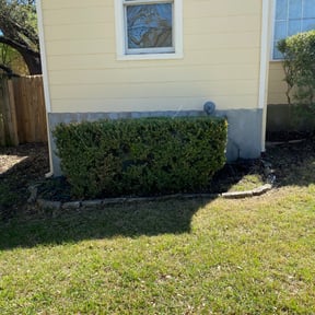 Bush Trimming by Enclave Landscape Management reviewed on August 19, 2025