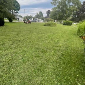 grass cutting by Livery Services LTD, llc reviewed on October 22, 2023