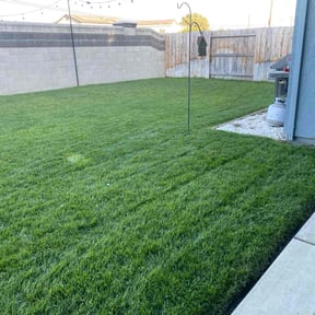 yard maintenance by My Dad Can reviewed on August 21, 2025