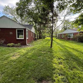 Leaf Removal by All About It services reviewed on June 1, 2026
