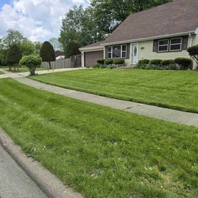 Long Grass Cleanup by Chloe’s Lawn Care LLC reviewed on August 5, 2023