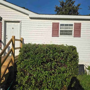 Bush Trimming by Precision Lawn &amp; Property Services, LLC reviewed on August 26, 2026