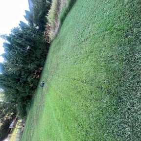 grass maintenance by Cooper’s Lawn & Landscape LLC reviewed on April 30, 2025
