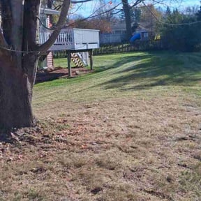 Leaf Removal by Adrian landscaping reviewed on November 24, 2025