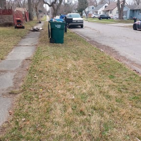 Leaf Removal by Thick Green Lawn Care reviewed on September 30, 2025