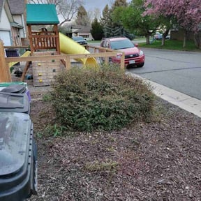 Bush Trimming by Green Hands Landscaping reviewed on August 17, 2025