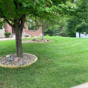 lawn service by Blue Landscape and Construction reviewed on July 1, 2025