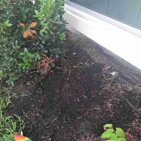 Flower Bed Weeding by LAWN CARE AND DELIVERY SERVICES LLC reviewed on August 19, 2025