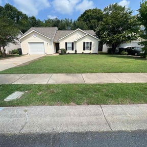 landscaping by Torres Transformations reviewed on August 21, 2025