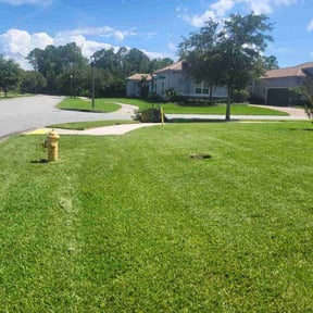 yard maintenance by Need A Hand - Home Solutions reviewed on August 19, 2025