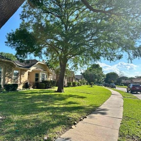 gardening service by Lonestar Landscaping reviewed on November 30, 2025